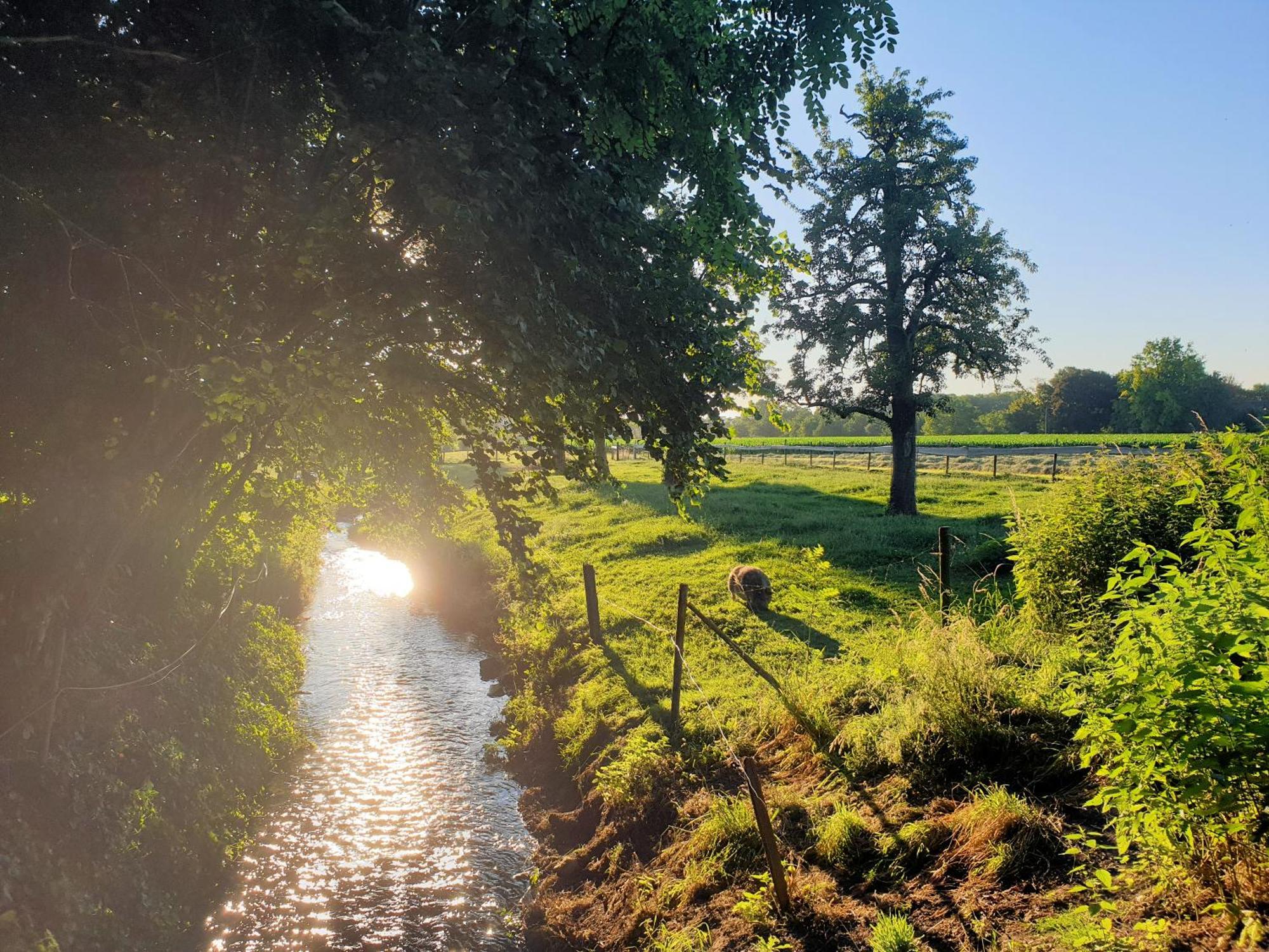 Meschermolen, Overnachten In De Schuur Eijsden Exterior foto